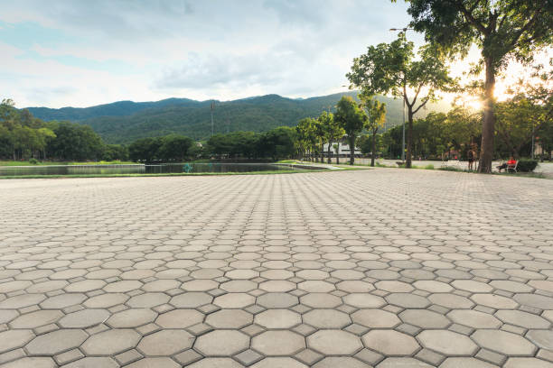 Best Cobblestone Driveway Pavers  in Ely, NV