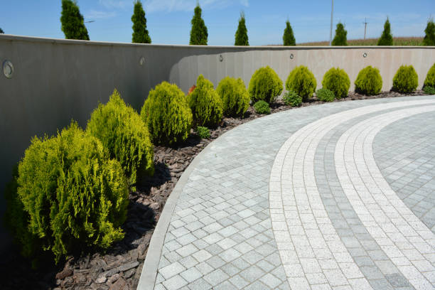 Best Residential Driveway Paver Services  in Ely, NV
