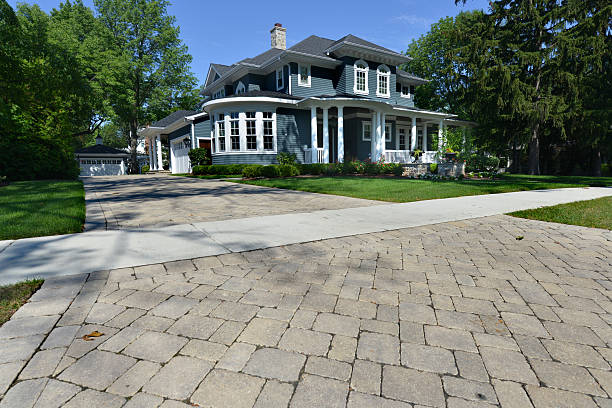 Best Best Driveway Pavers  in Ely, NV